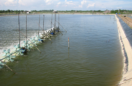 Foundation of the first Seafood Development Assistance Fund 
