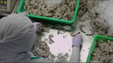 Vietnam-Argentina trade records 1.92 billion USD in 2014