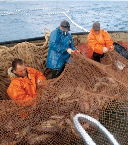 Russia approves plan to counter illegal fishing