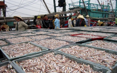 Fisheries production reached over 2.7 million MT