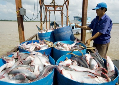 Seafood exports estimated to reach over US$4.61 billion