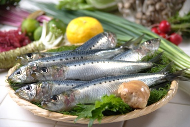 Sardine fishery quota slashed for 2013, but worries remain