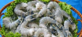 Satra launches convenience stores in Can Tho