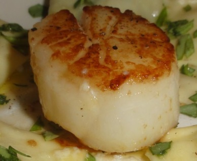US domestic scallop landings likely to be more than originally projected this year