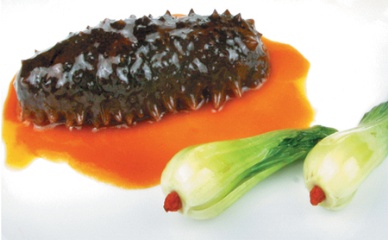 Rising sea cucumber prices drive cultivation