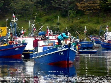 Slight increase in seafood export value