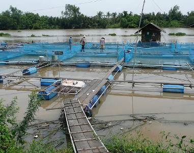 Storms, monsoon rains cause extensive damage in Philippine fishery 