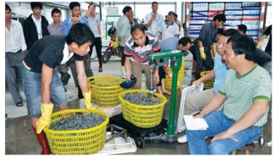 South China strengthens seafood ties with ASEAN