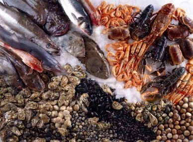Washington state approves seafood labeling law