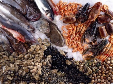 VASEP requests to reduce Tax on imported seafood to zero percent 