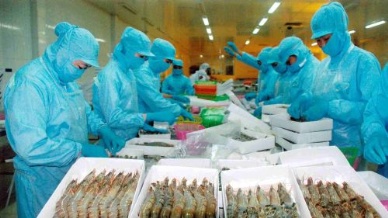Will Vietnam seafood exports touch US$6.5 billion in 2012?