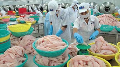 Seafood exports reached over US$ 900 million 