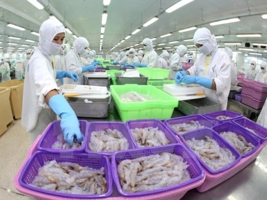 Vietnam records 2.76 billion USD trade surplus in 11 months