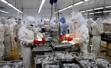 Seafood exports estimated at 8 bln USD in 2017