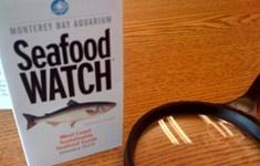 Seafood Watch plugs MSC, ASC-certified products 