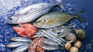 Export trend of Vietnam’s main seafood products in first 9 months of 2014