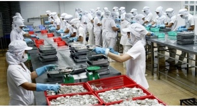 Seaprodex: Profit after tax went up 