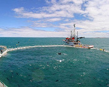 Sharp price increase of PNA fishing rights