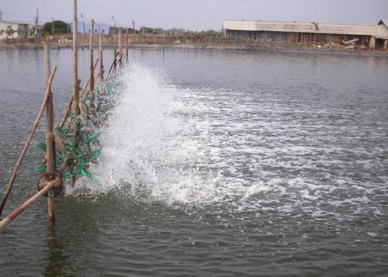Sustainable aquaculture project compliance with European standards