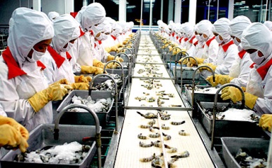 Binh Thuan to have new industrial park for seafood processing