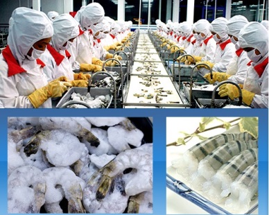 Au Vung Co: Shirmp exports up 79.2 percent in 2013