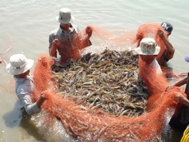 Positive signs for Vietnam shrimp production and exports in first 2 months