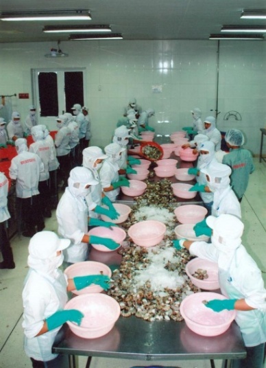 Bac Lieu: seafood exports up 22 percent
