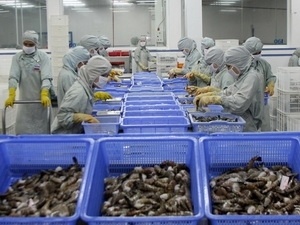 VN’s shrimp producers not subsidised, says VASEP