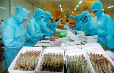 Vietnam enjoys quota of 10,000 MT shrimp exported to South Korea with 0% duty