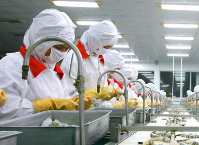 Vietnam shrimp exports 2015: Challenges and Opportunities 