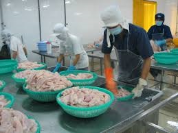 Soc Trang: Aquaculture area surges