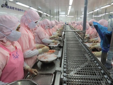 Soc Trang in pursuit of investments