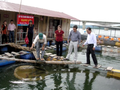 Sturgeon farming in Son La province 