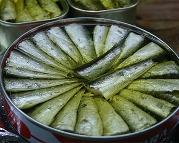 Spain: Canned seafood exports generate EUR 692 million