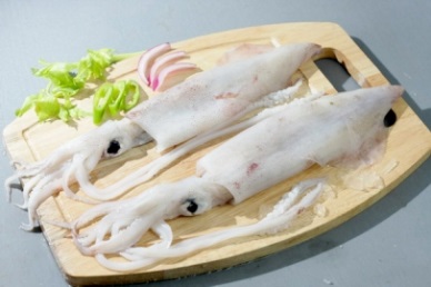 Cephalopod exports to EU hard to grow this year