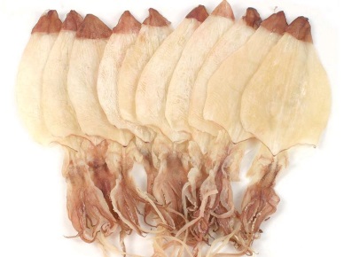 Cephalopod exports to the EU decreases