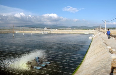 Vietnam developing sustainable aquaculture 