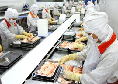 Vietnam shrimp sales to US rose