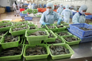 China: Demand for shrimp imports remained stable