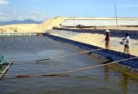 May 2017: Aquaculture output hit 370,000 MT