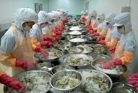 High demand supports Vietnam shrimp exports
