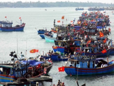 Da Nang: Fishery output in QI/2017 hit 9,891 MT