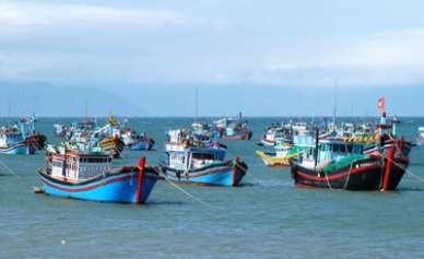 Khanh Hoa: Seafood production is estimated at over 41,600 tons