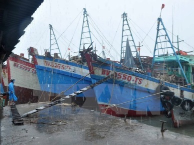 Quang Ninh: Tonkin Gulf fishery logistics centre to be launched