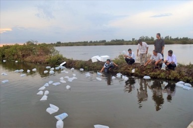 Kien Giang: Rise in aquaculture production 