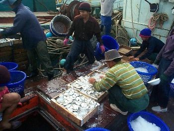 Seafood associations take action to avoid commercial impact with US