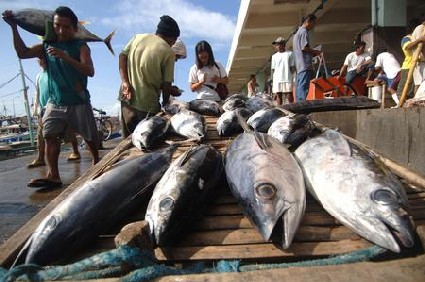 Saudi’s Buy 10% More Tuna From Thailand, Despite Higher Prices 