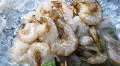 Analysts: Thai shrimp prices to remain high in Q1