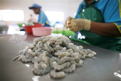 After bloody 2013, Thailand’s shrimp, tuna processors start year on better footing