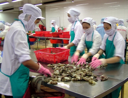 Shrimps: A key export for Vietnam